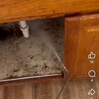 MSA Pest Control - Roach cleanup fog - Pest Control Near Me MSA Pest Control - Roach cleanup fog - Pest Control Near Me