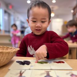 Hudson Country Montessori School - New rochelle preschool class