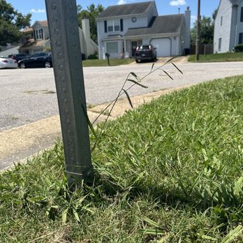 Home & Land Repairs - Again, disregarding the trimming/edging around the signage (stop sign). - Handyman Near Me