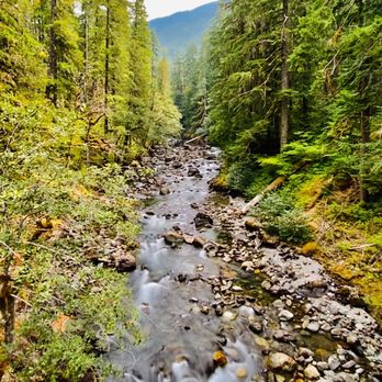 Mount Rainier National Park - Parks Near Me - Ashford, Washington Mount Rainier National Park - Parks Near Me - Ashford, Washington