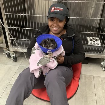 VEG ER for Pets - Versace giving overnight cuddles was the best! - Emergency Pet Hospital Near Me - Clifton, New Jersey VEG ER for Pets - Versace giving overnight cuddles was the best! - Emergency Pet Hospital Near Me - Clifton, New Jersey