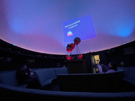 McKinley Presidential Library & Museum by null