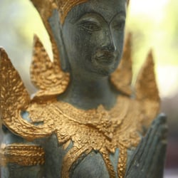 Hoa Quynh