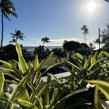 Brennecke's Beach Broiler - View - Seafood Near Me - Koloa, Hawaii