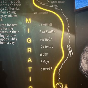 Point Vicente Interpretive Center - Museums Near Me - Rancho Palos Verdes, California Point Vicente Interpretive Center - Museums Near Me - Rancho Palos Verdes, California