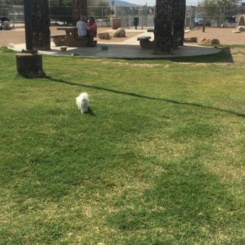 Sunset Park - Dog Parks Near Me - Las Vegas, Nevada