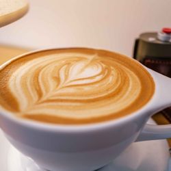 Temple Coffee - 16 oz. Latte