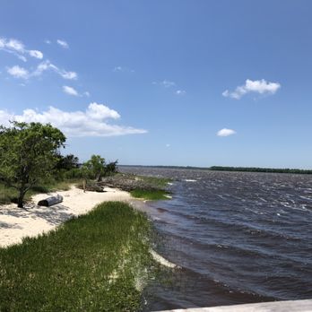 Carolina Beach State Park - Cape Fear River - Parks Near Me - Carolina Beach, North Carolina Carolina Beach State Park - Cape Fear River - Parks Near Me - Carolina Beach, North Carolina