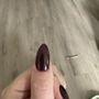 The Polish Nail Lounge