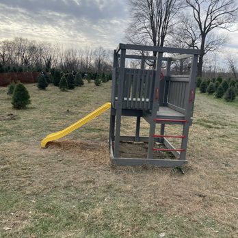 Jay's Tree Farm - Christmas Trees Near Me - Mooresville, Indiana Jay's Tree Farm - Christmas Trees Near Me - Mooresville, Indiana