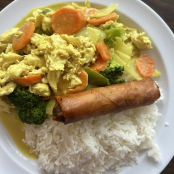 Little Saigon Cafe - Curry chicken and vegetables. - Vietnamese Near Me - Orange Park, Florida Little Saigon Cafe - Curry chicken and vegetables. - Vietnamese Near Me - Orange Park, Florida