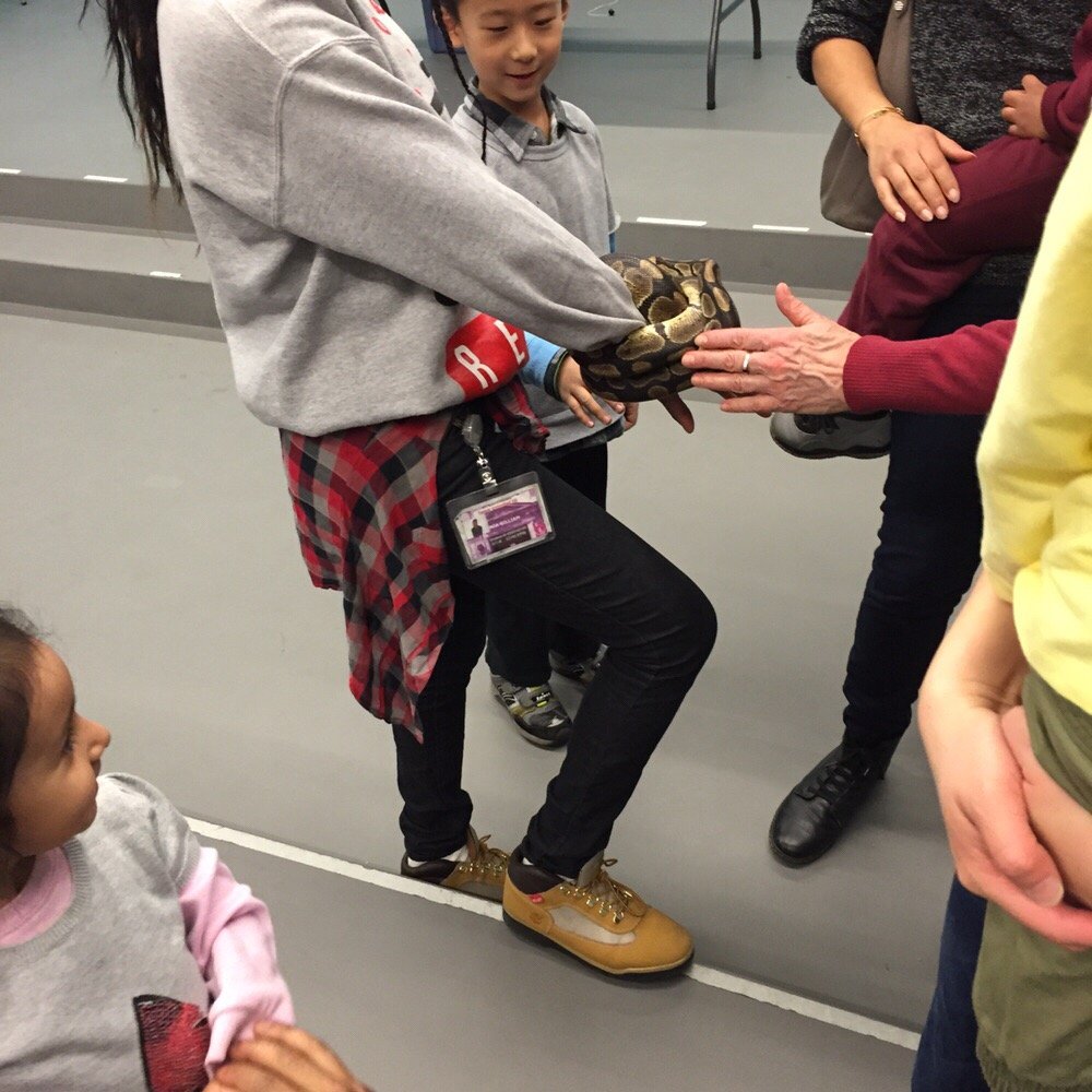 Brooklyn Children's Museum - An employee holding a snake during the reptile exhibit. My daughter got to pet him. - Children's Museums Near Me - Brooklyn, New York