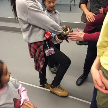 Brooklyn Children's Museum - An employee holding a snake during the reptile exhibit. My daughter got to pet him. - Children's Museums Near Me - Brooklyn, New York