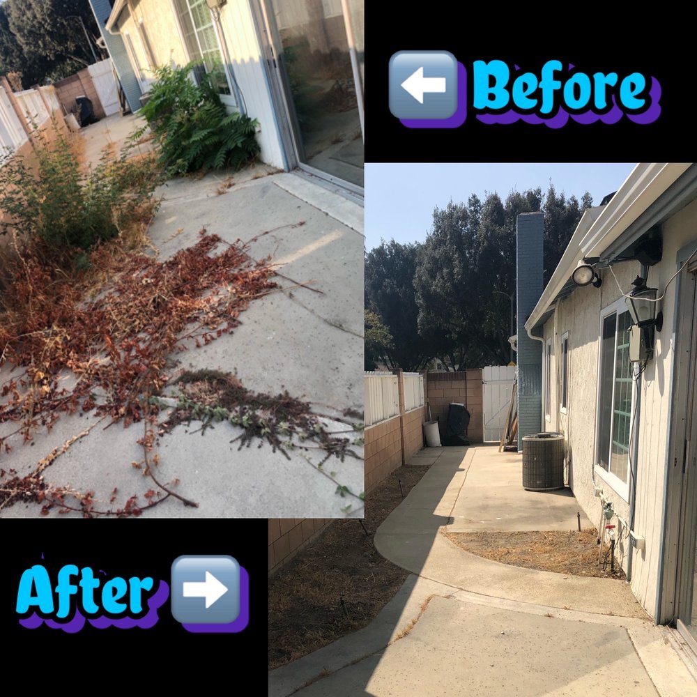 Josue's Landscaping and Tree Service - Tree Services Near Me - Simi Valley, California Josue's Landscaping and Tree Service - Tree Services Near Me - Simi Valley, California