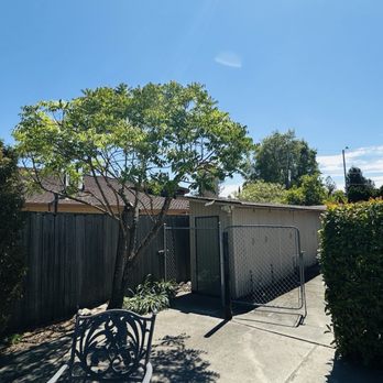 JMV Tree Service - After trimmed and cleaned up - Tree Services Near Me - Hayward, California