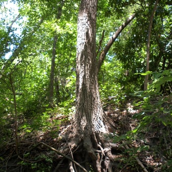 Prairie Creek Park - Parks Near Me - Richardson, Texas Prairie Creek Park - Parks Near Me - Richardson, Texas