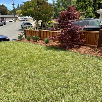 FCR Fence & Deck - Front border fence - Fences & Gates Near Me - Martinez, California FCR Fence & Deck - Front border fence - Fences & Gates Near Me - Martinez, California