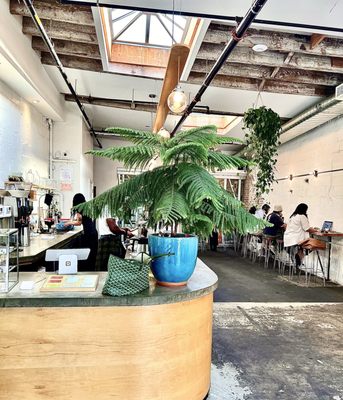 SEY Coffee by null SEY Coffee by null