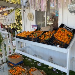 Huasna Valley Farm