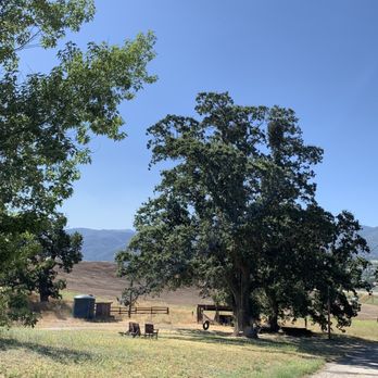 Rancho De Los Viajeros Vineyard - Magnificent oak tree on the property. - Wine Tasting Room Near Me - Tehachapi, California Rancho De Los Viajeros Vineyard - Magnificent oak tree on the property. - Wine Tasting Room Near Me - Tehachapi, California