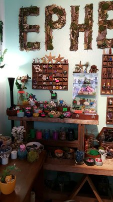 Ephemera - Plants, Terrariums and Comics by null