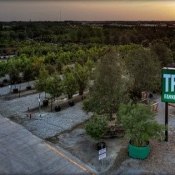 Fannin Tree Farm - Come See us at Fannin Tree Farm! - Nurseries & Gardening Near Me - Frisco, Texas Fannin Tree Farm - Come See us at Fannin Tree Farm! - Nurseries & Gardening Near Me - Frisco, Texas