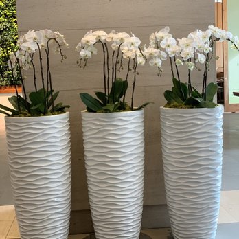 Camden Gardens - three large white vases with orchids in them - Landscaping Near Me - Seattle, Washington