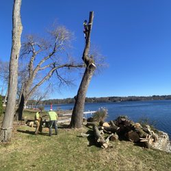 Team Tree - lake tree job completed