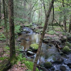 Swibold Trail - Brook