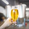 Cynosure Brewing gift card