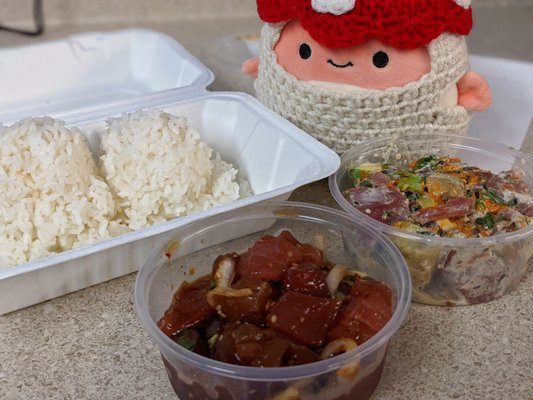 Fresh Catch Kapahulu by null