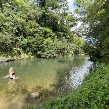 Carabali Rainforest Park - River swim - Horseback Riding Near Me - Luquillo, Puerto Rico