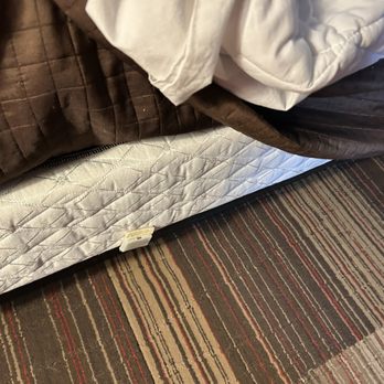 Hampton Inn Medina - Bed frame - Hotels Near Me - Medina, Ohio Hampton Inn Medina - Bed frame - Hotels Near Me - Medina, Ohio