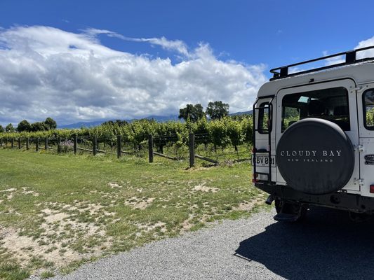 Cloudy Bay Vineyards by null