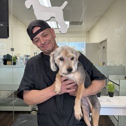 Groom & Board - Ernie and Scooby (after)