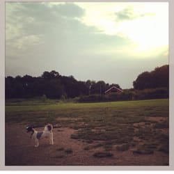 Keyser Dog Park