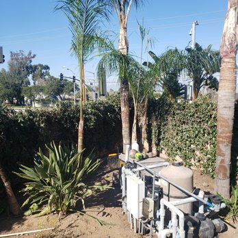 Pachecos tree service - Tree Services Near Me Pachecos tree service - Tree Services Near Me