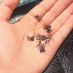 EM Lash Studio