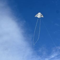 River City Kites