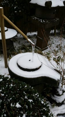 Hakata Motsunabe Yamanaka main store by null