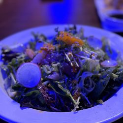 Top Sushi - Sashimi Salad