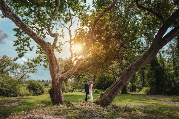 Your Special Wedding Day! - Perfect wedding photos on your special day! Your Special Wedding Day! - Perfect wedding photos on your special day!