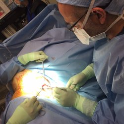 Universal Pain Management