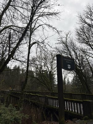 Latourell Falls by null