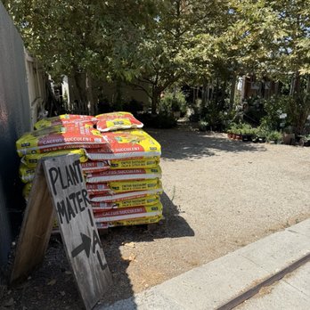 Plant Material - Back entrance on La Paz - Nurseries & Gardening Near Me - Los Angeles, California