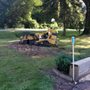 Photo of Family tree tree service