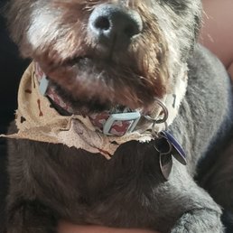 Einstein Einstein