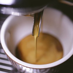 Dinastia12 - Somos una de las mejores franquicias mexicanas de café y cocina gourmet.