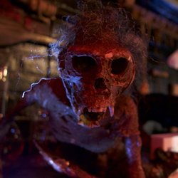 Fallout Books & Records - Fiji Mermaid from the Crypt