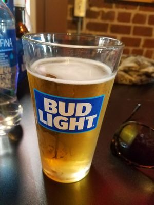 Arlin's Bar & Garden by null